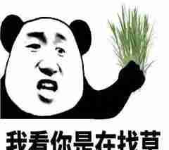ҲgayNBAڸᣬ֤Լ