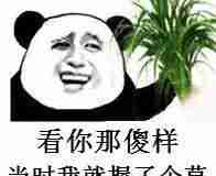 ҲgayNBAڸᣬ֤Լ